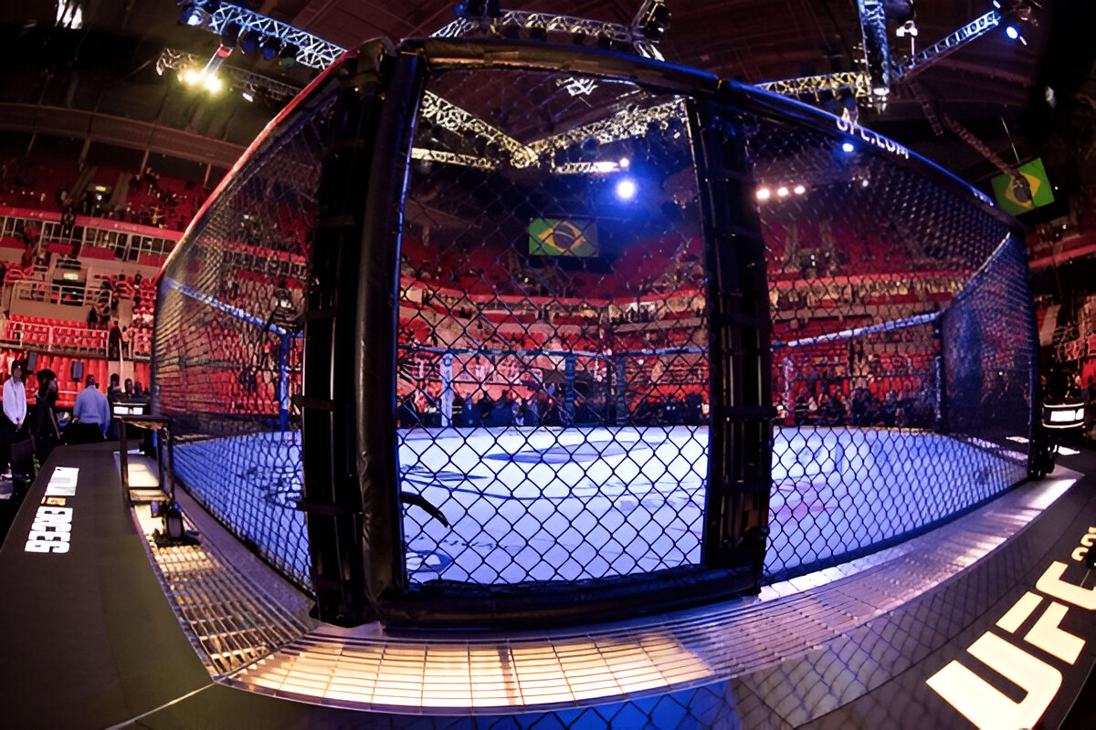 Most Popular UFC Arena